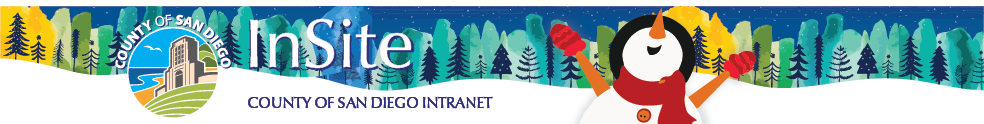 insite winter holiday banner 2